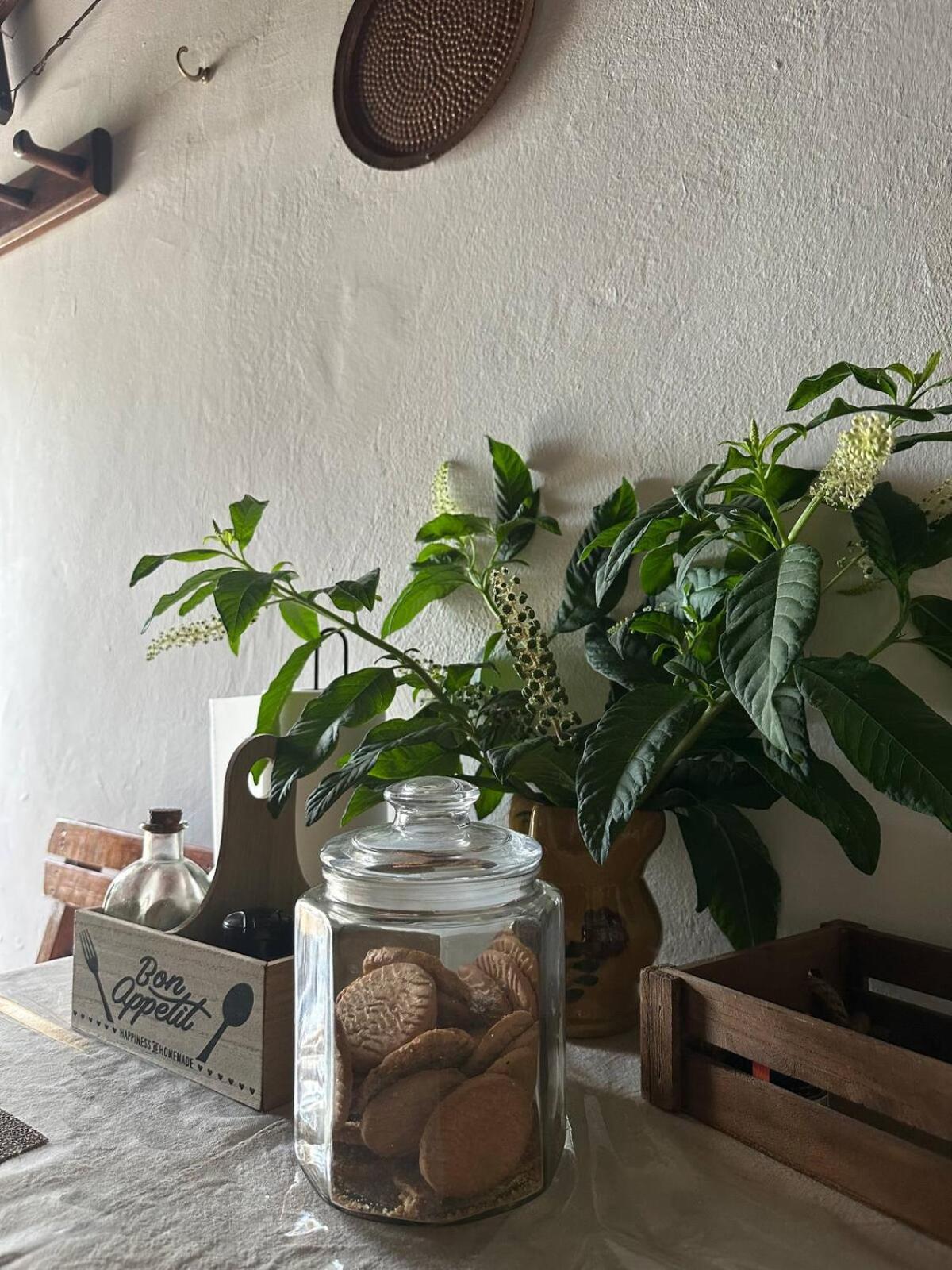 Rodia Appartement Kynopiástai Buitenkant foto